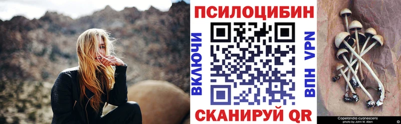 где можно купить наркотик  Сосенский  Галлюциногенные грибы GOLDEN TEACHER 